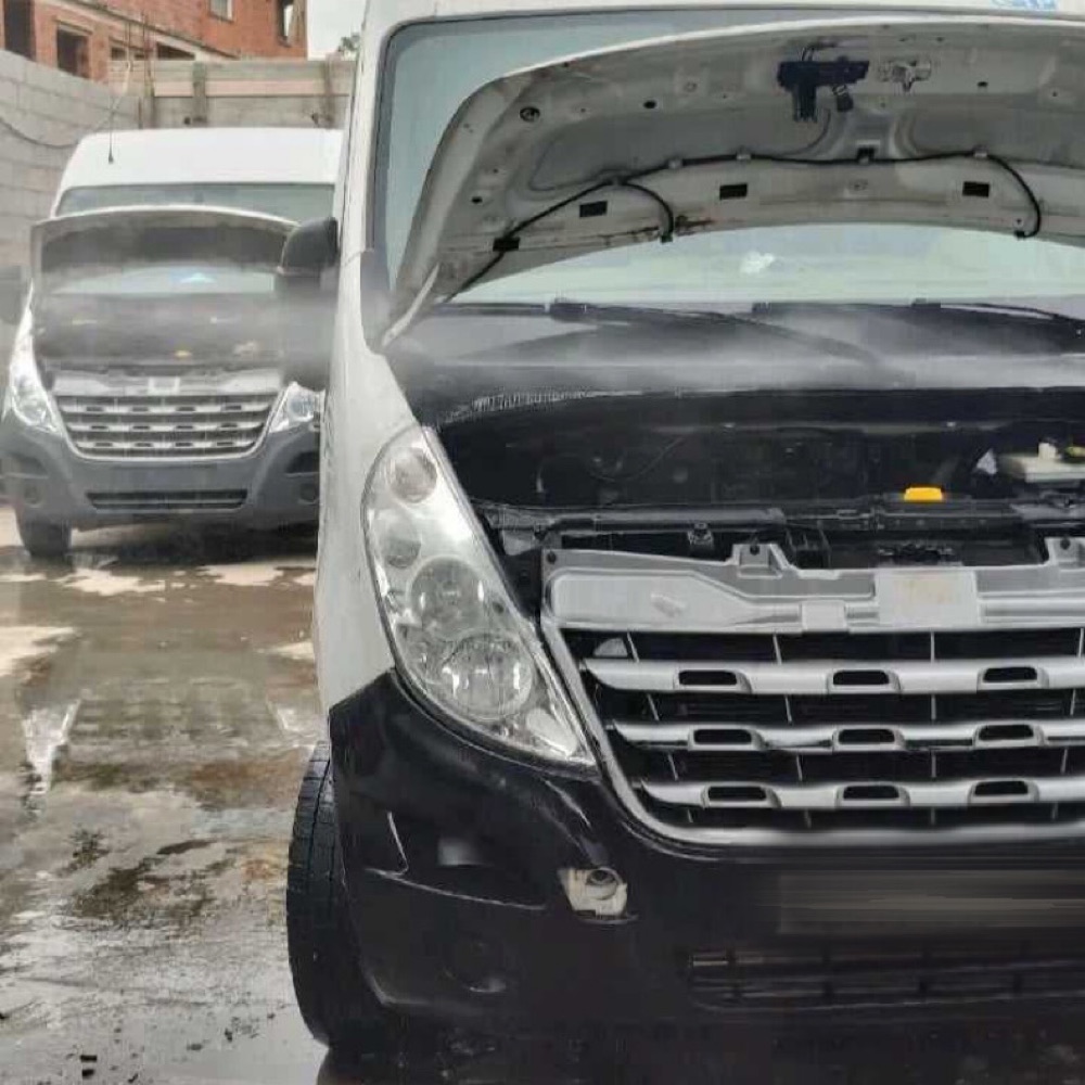 رينو ماستر
